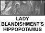 Lady Blandishment's Hippopotamus. Better than a doberman but a bit of a swine to take for walks.